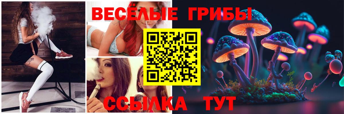 Псилоцибиновые грибы мицелий Миллерово